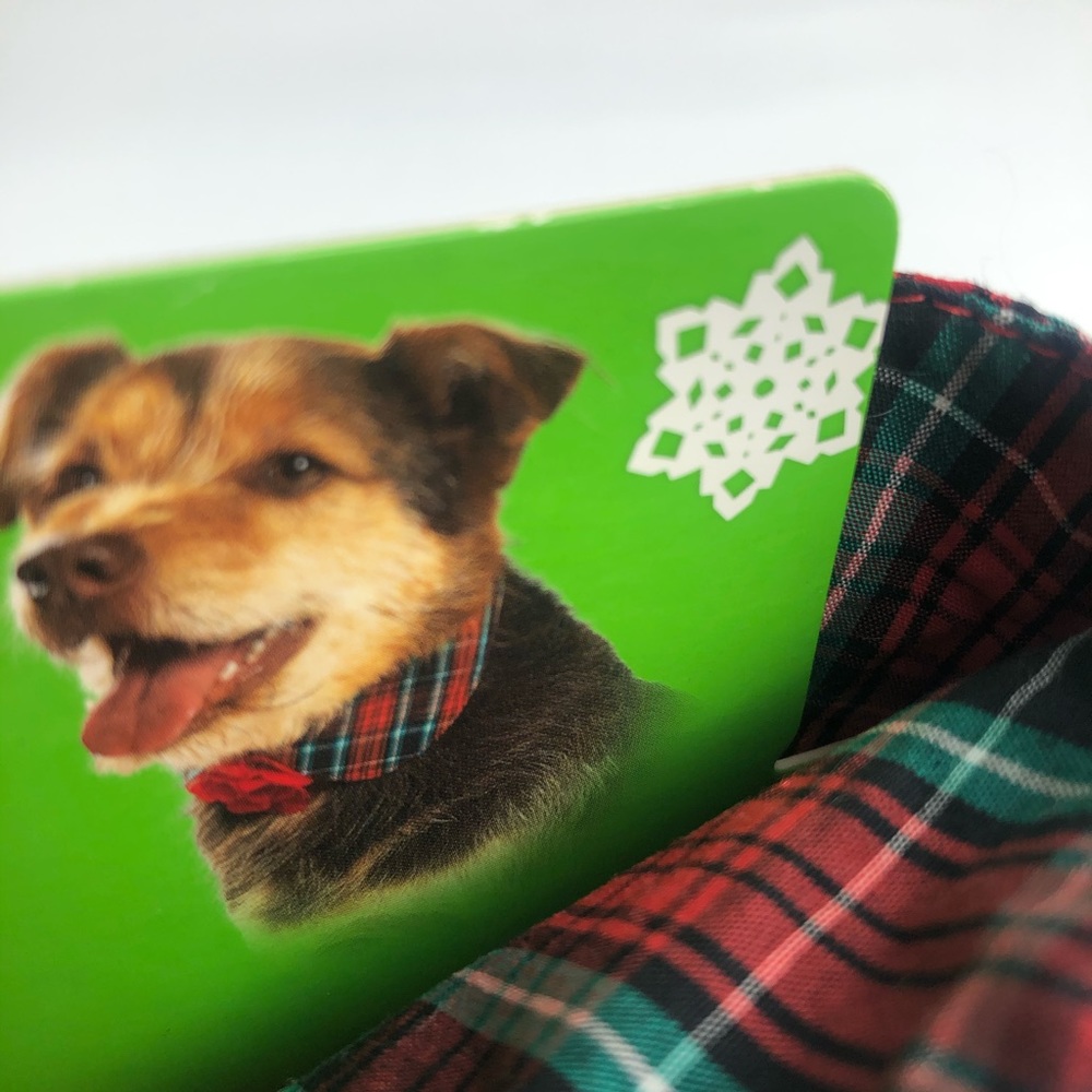 Dog accessory - Picture 2 of 3